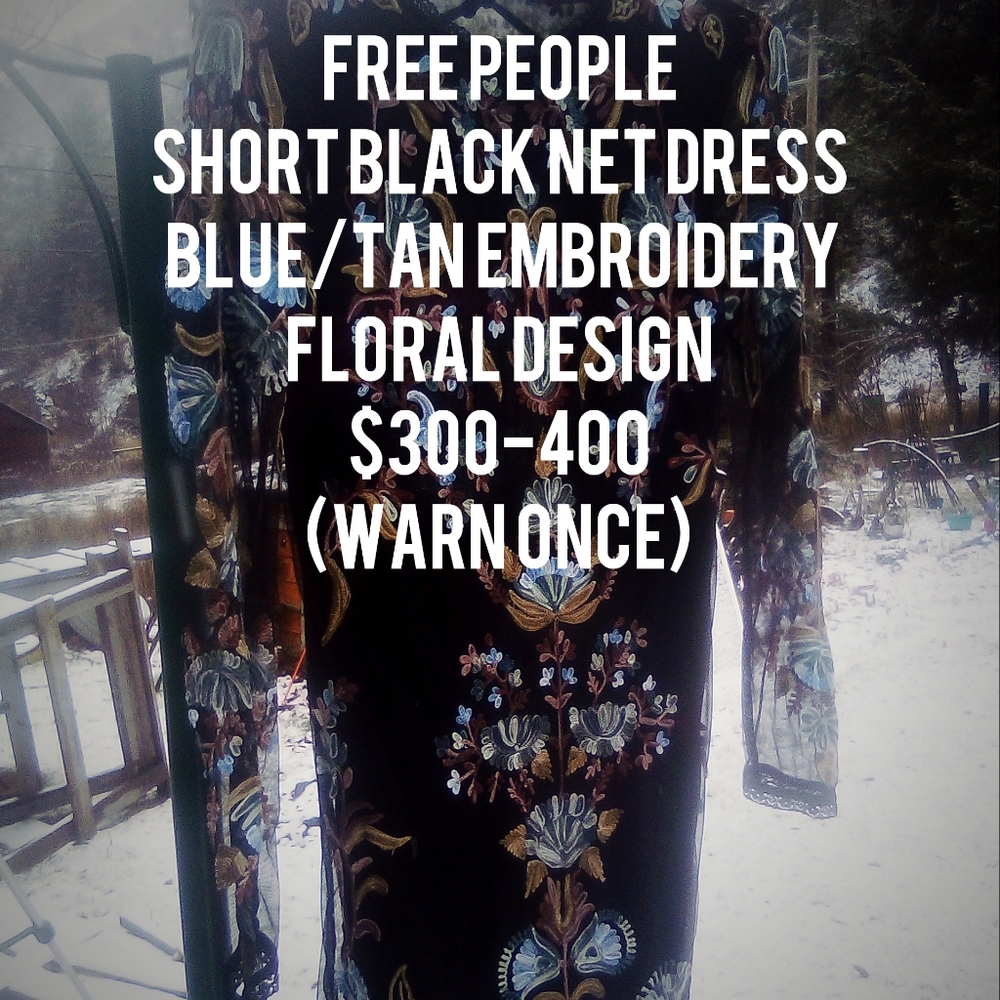 Free People mini Embroidered Net Dress
